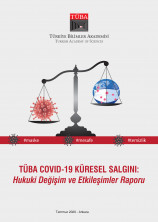 TÜBA COVID-19 Küresel Salgını: Hukuki Değişim ve Etkileşimler Raporu