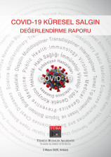 3.Versiyon: TÜBA COVID-19 Küresel Salgın Değerlendirme Rapor