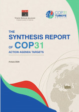 The Synthesis Report on COP31 Action Agenda Targets
