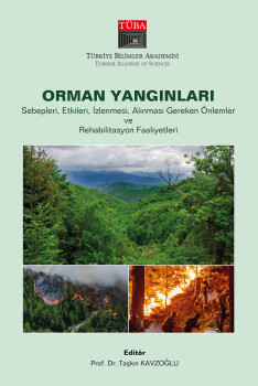 Orman Yangınları Sebepleri, Etkileri, İzlenmesi, Alınması Gereken Önlemler ve Rehabilitasyon Faaliyetleri