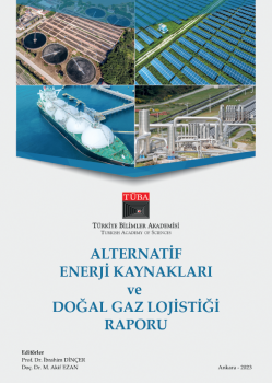 Alternatif Enerji Kaynakları ve Doğal Gaz Lojistiği Raporu