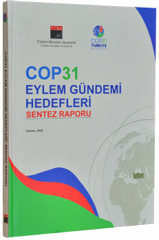 COP31 Eylem Gündemi Hedefleri: Sentez Raporu