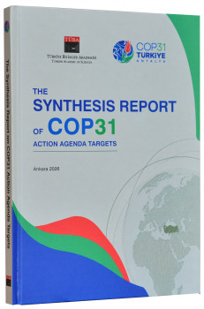 The Synthesis Report on COP31 Action Agenda Targets