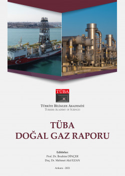 TÜBA Doğal Gaz Raporu