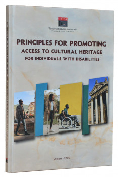 Principles for Promoting Access to Cultural Heritage for Individuals with Disabilities