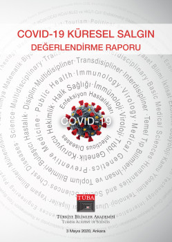 3.Versiyon: TÜBA COVID-19 Küresel Salgın Değerlendirme Rapor